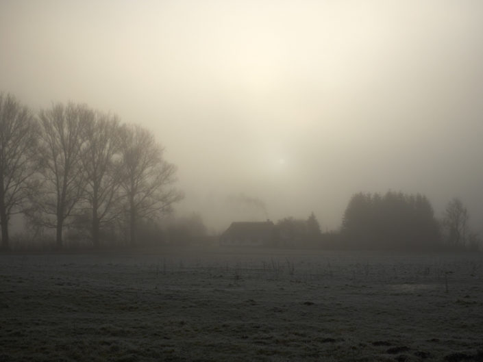 FOGGY MORNINGS LE 6
